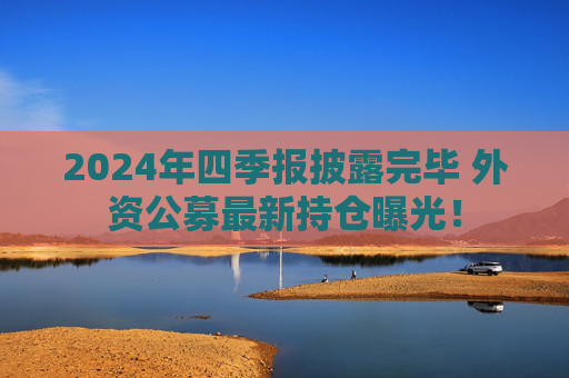 2024年四季报披露完毕 外资公募最新持仓曝光！