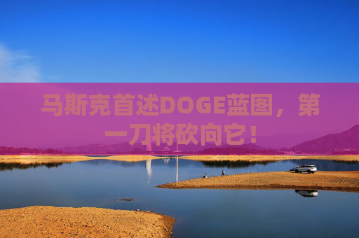 马斯克首述DOGE蓝图，第一刀将砍向它！
