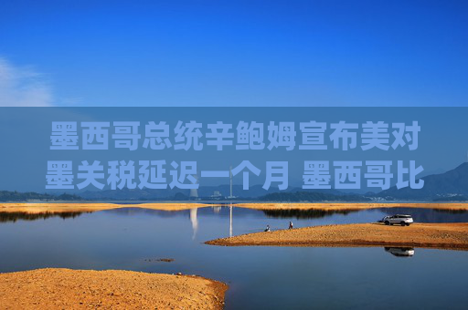墨西哥总统辛鲍姆宣布美对墨关税延迟一个月 墨西哥比索应声上涨