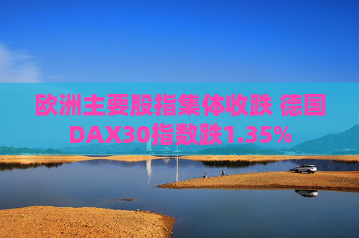 欧洲主要股指集体收跌 德国DAX30指数跌1.35%