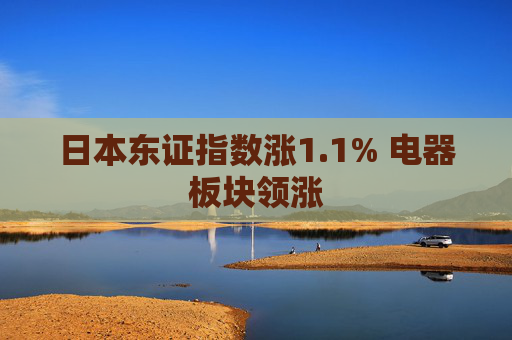日本东证指数涨1.1% 电器板块领涨