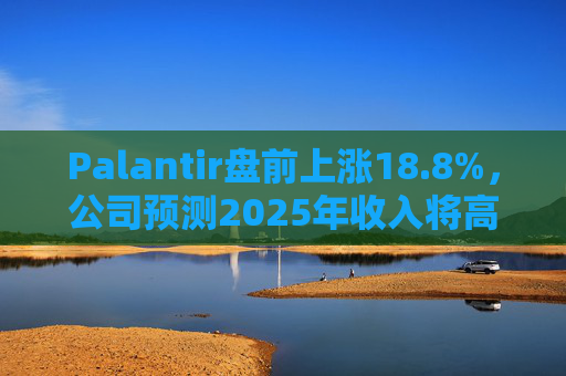 Palantir盘前上涨18.8%，公司预测2025年收入将高于预期