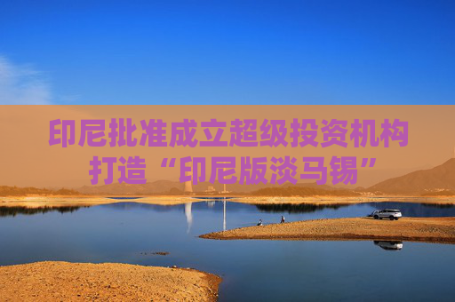 印尼批准成立超级投资机构 打造“印尼版淡马锡”