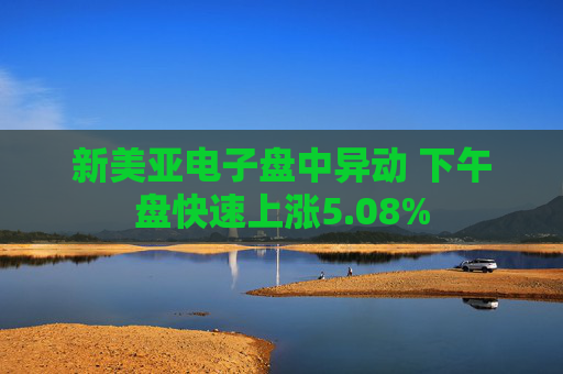 新美亚电子盘中异动 下午盘快速上涨5.08%