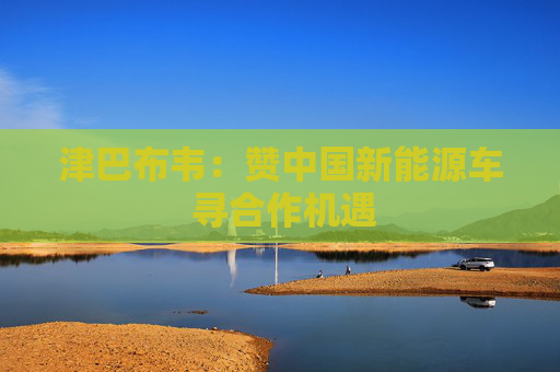 津巴布韦：赞中国新能源车 寻合作机遇