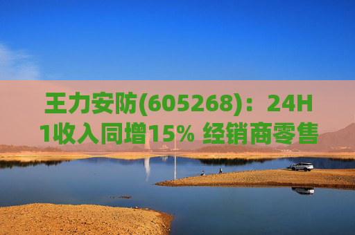 王力安防(605268)：24H1收入同增15% 经销商零售渠道表现亮眼