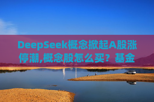 DeepSeek概念掀起A股涨停潮,概念股怎么买？基金经理选股思路曝光