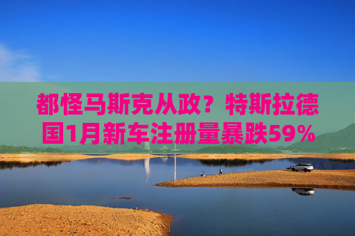 都怪马斯克从政？特斯拉德国1月新车注册量暴跌59%