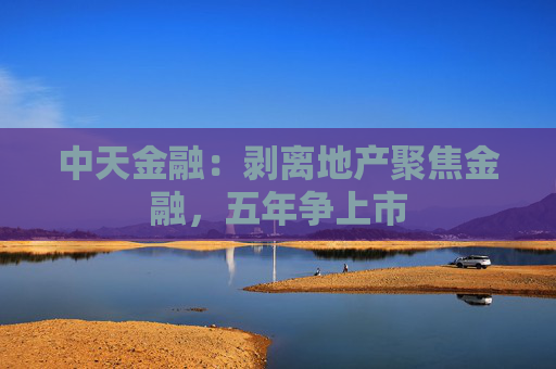 中天金融：剥离地产聚焦金融，五年争上市