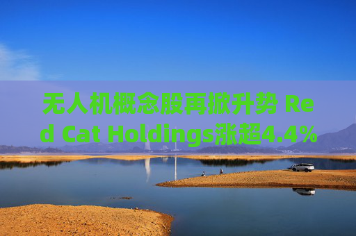 无人机概念股再掀升势 Red Cat Holdings涨超4.4%