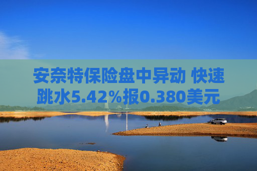 安奈特保险盘中异动 快速跳水5.42%报0.380美元