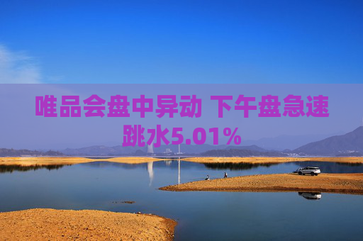 唯品会盘中异动 下午盘急速跳水5.01%