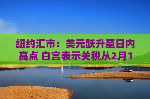 纽约汇市：美元跃升至日内高点 白宫表示关税从2月1日开始
