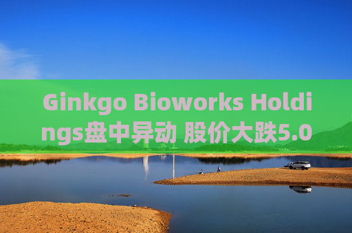 Ginkgo Bioworks Holdings盘中异动 股价大跌5.00%报13.22美元