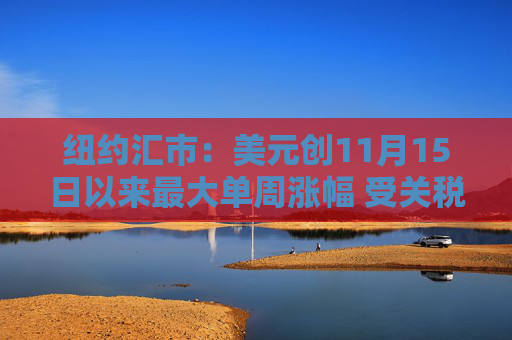纽约汇市：美元创11月15日以来最大单周涨幅 受关税计划影响