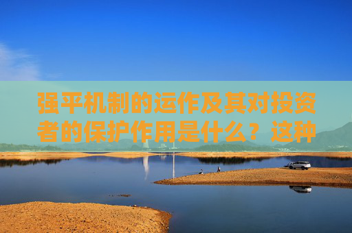 强平机制的运作及其对投资者的保护作用是什么？这种机制如何维护市场稳定？