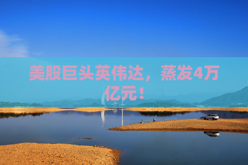 美股巨头英伟达，蒸发4万亿元！