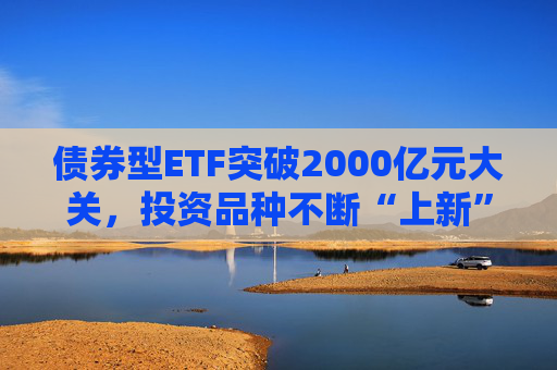债券型ETF突破2000亿元大关，投资品种不断“上新”，机构：虽然2025年债市趋势仍在，但波动明显上升