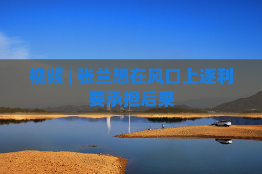 视频 | 张兰想在风口上逐利要承担后果