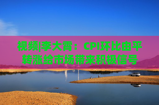 视频|李大霄：CPI环比由平转涨给市场带来积极信号