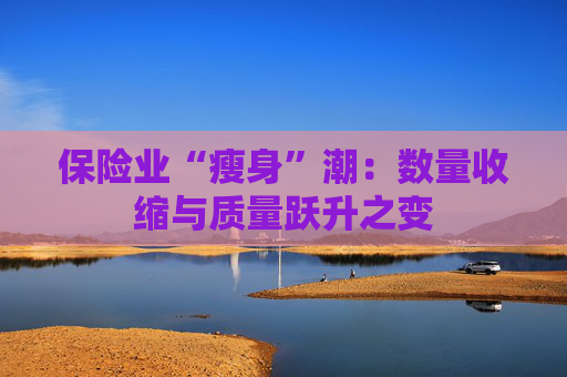 保险业“瘦身”潮：数量收缩与质量跃升之变