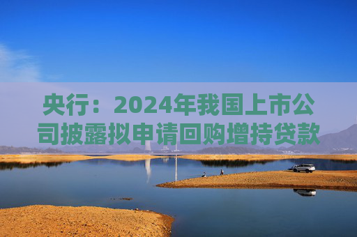 央行：2024年我国上市公司披露拟申请回购增持贷款金额上限近600亿元