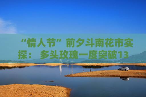 “情人节”前夕斗南花市实探： 多头玫瑰一度突破13元/枝 海外订单纷至沓来