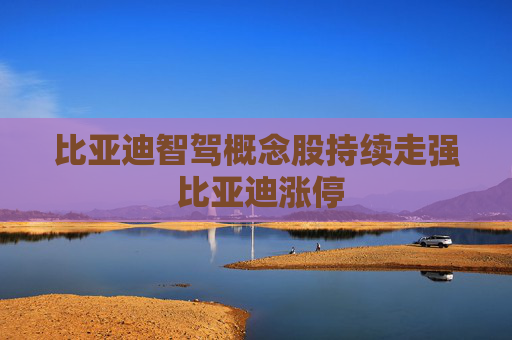比亚迪智驾概念股持续走强 比亚迪涨停