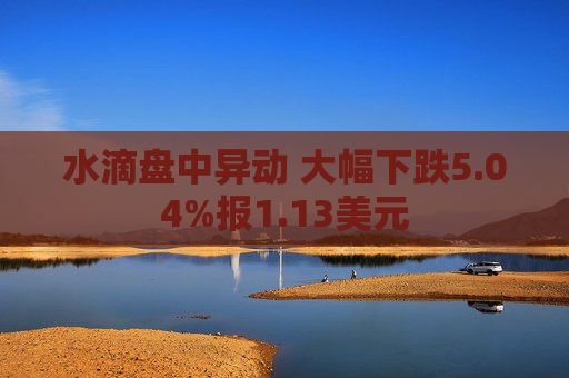 水滴盘中异动 大幅下跌5.04%报1.13美元