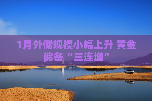 1月外储规模小幅上升 黄金储备“三连增”