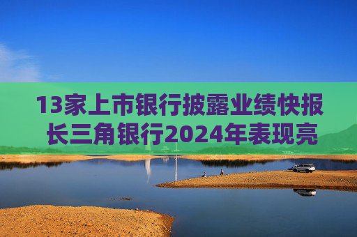 13家上市银行披露业绩快报 长三角银行2024年表现亮眼