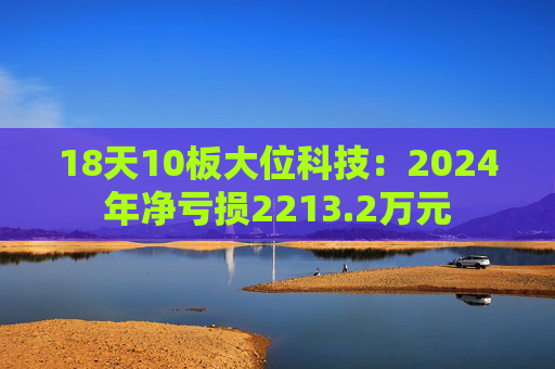 18天10板大位科技：2024年净亏损2213.2万元