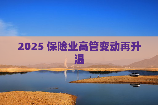 2025 保险业高管变动再升温