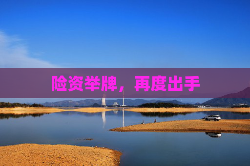 险资举牌，再度出手