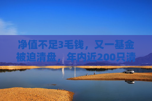 净值不足3毛钱，又一基金被迫清盘，年内近200只清盘，清盘节奏明显加快
