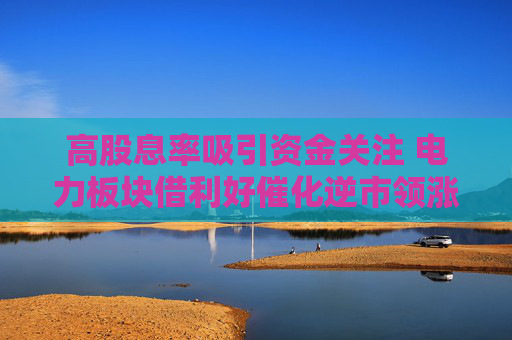 高股息率吸引资金关注 电力板块借利好催化逆市领涨