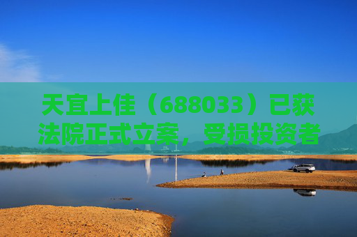 天宜上佳（688033）已获法院正式立案，受损投资者仍可登记索赔