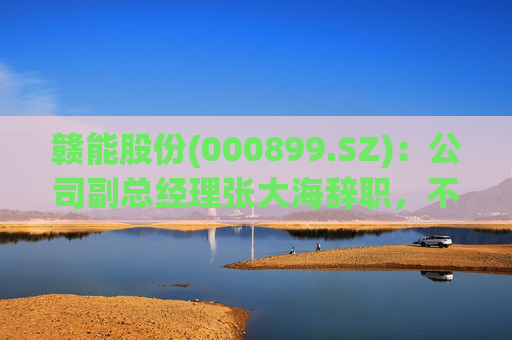 赣能股份(000899.SZ)：公司副总经理张大海辞职，不再担任公司任何职务