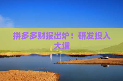 拼多多财报出炉！研发投入大增