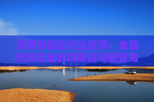 消费券撬动行业复苏：食品饮料企业的攻防战与新变局