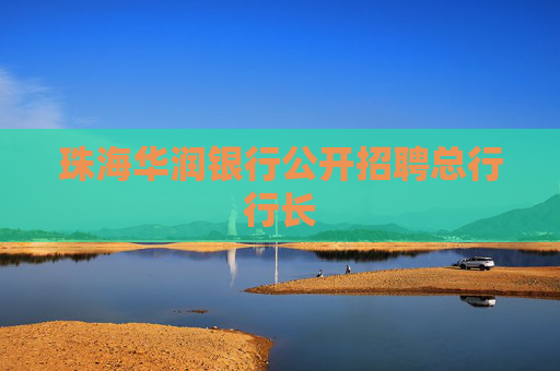 珠海华润银行公开招聘总行行长