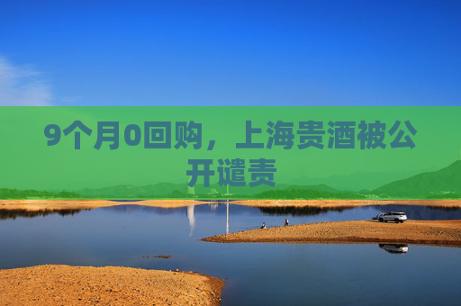 9个月0回购，上海贵酒被公开谴责