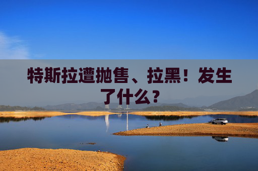 特斯拉遭抛售、拉黑！发生了什么？