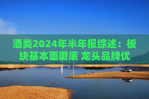 酒类2024年半年报综述：板块基本面磨底 龙头品牌优势凸显