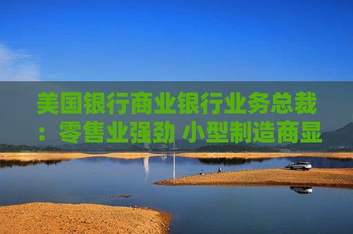 美国银行商业银行业务总裁：零售业强劲 小型制造商显示疲软迹象