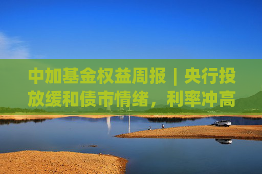 中加基金权益周报︱央行投放缓和债市情绪，利率冲高回落