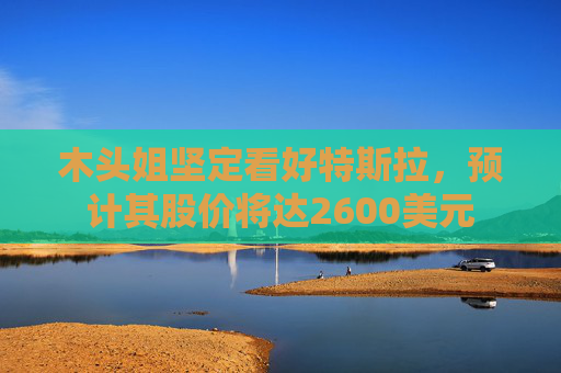 木头姐坚定看好特斯拉，预计其股价将达2600美元