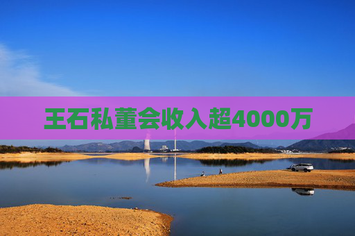 王石私董会收入超4000万