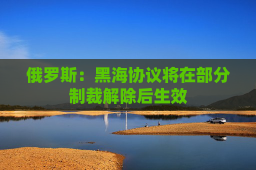 俄罗斯：黑海协议将在部分制裁解除后生效