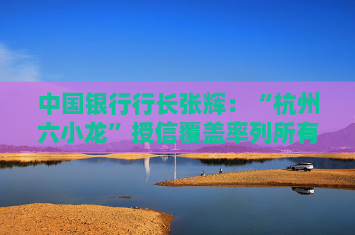 中国银行行长张辉：“杭州六小龙”授信覆盖率列所有金融机构第一
